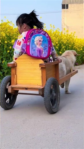 Patton Day, little master picks up from school! #DogPicksUpLittleMasterFromSchool