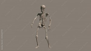 Looped animation of a dancing skeleton on a transparent background