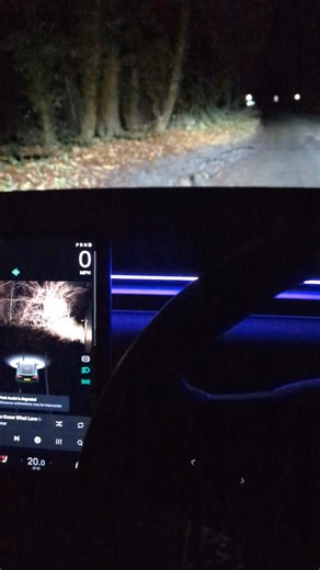 Reflections from the S3XY STRIP in my Tesla Model Y