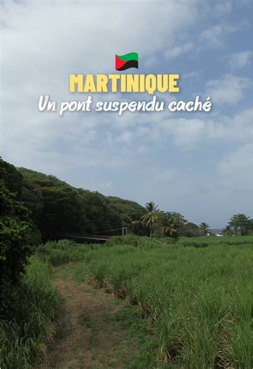 Martinique… 🤫🌿 Bien caché au cœur de la nature, ce petit pont suspendu passe juste au-dessus d’une rivière dans le Nord de l’île Je vous donne un petit indice pour retrouver le lieu : l’Anse Massée 👀 Alors… vous avez deviné ? Dans quelle commune se trouve ce pont ? #martinique❤️💚🖤 #MartiniqueTourisme #NordMartinique #caraibes #paysagedefrance