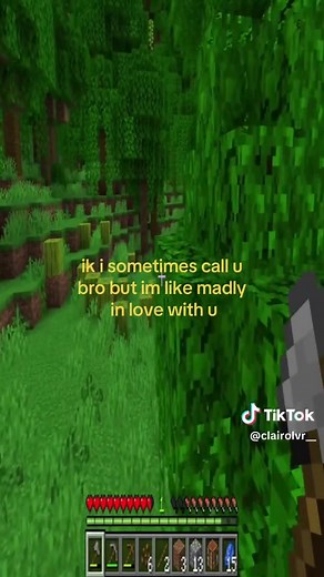 Let’s Play Minecraft Together!