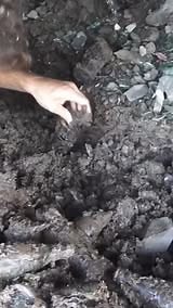 One-of-a-Kind Coke Bottle Found!