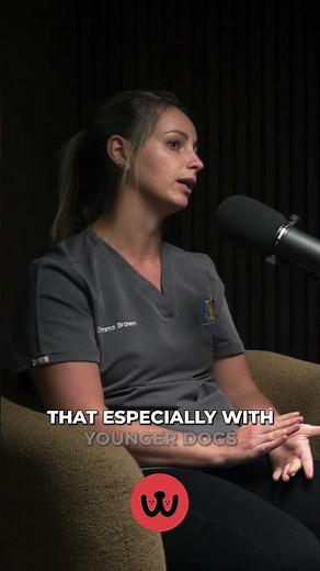 🤢 Why Is My Dog Vomiting?