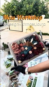 Moss Art Workshop | DIY Preserved Moss Wall Art for Beginners, 11 July, Cyprus, Larnaca