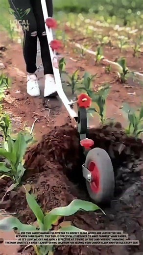 Manual Wheel Plough: The Smart Tool for Corn Field
