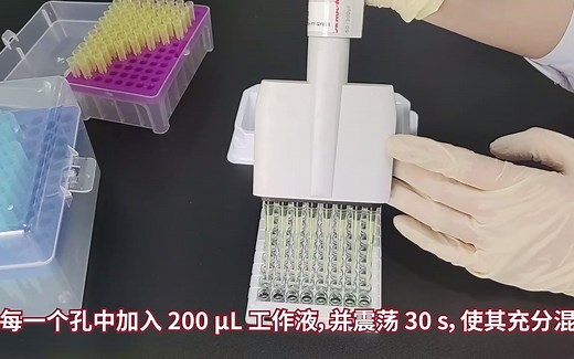 BCA Protein Assay Kit（微孔板方案）演示视频