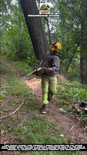 Leaning Tree Removed With Perfect Control