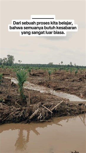 Jejak Planters #fypシ゚viral #storytime #storywa #fypシ