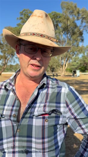 David McClure from Cobar drove 400 km to our Geurie show recently with his wife and kids. He speaks about selling up his farm and selling the last of his sheep this week and how he’s processing it all so far. #davidmcclure #farming #australianfarmer #australianfarmers #tomcurtain | Tom Curtain