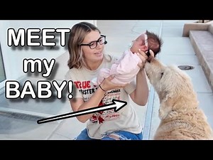 My DOG has to MEET my BABY!!!!