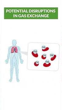 Let's do an overview of the lung gas exchange process 🫁 #anatomy #lungs #nursing