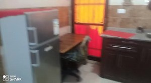 مجموعة شقق مفروشه لتأجير اليومي ٤٠ دينار لليوم الواحد...