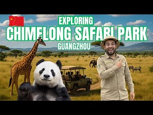 Exploring Chimelong Safari Park Guangzhou | China’s Biggest Wildlife Adventure!