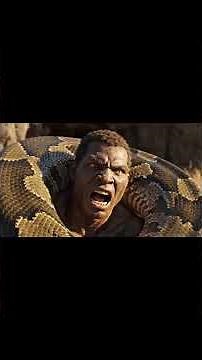 What did people eat to live millions of years ago