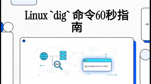 60秒掌握Linux命令（51）dig