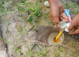 3.1K views · 36 reactions | Online Shopping on Reels | Facebook