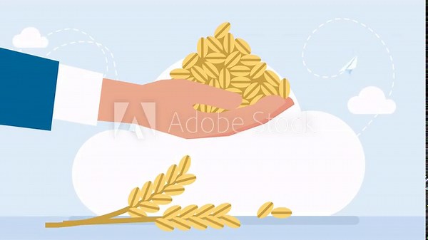 A pile of grain on the palm of a businessman's hand. Wheat ears. Bunch of grain barley. Barley illustration. Wheat, granule, kernel, corn, rye, barley, oats. 2d flat animation. Bright cartoon.