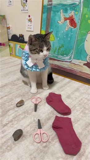 Kitten's Rock-Paper-Scissors Fun: Relive Our Classic Games