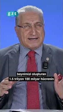 What kind of organ is the brain?