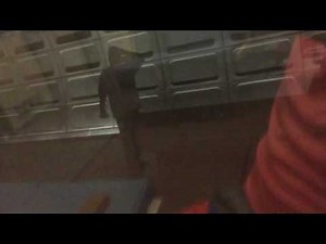 Ride on WMATA ROHR 1226 on the Green Line