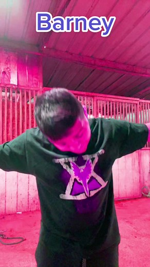 Celebrating with Barney: A Musical Goodbye