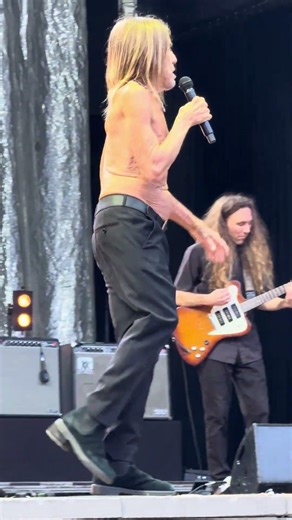 🔥⚡ Iggy Pop – in the Red Hot Chili Peppers orbit – older, rawer, and still impossible to tame