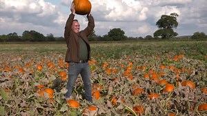 Boo! 👻 It’s Halloween eve! So the boys are getting busy harvesting pumpkins and getting in that spooky spirit tonight at 9pm on Channel 5. 🎃 P.s. let’s see some of your pumpkin lantern masterpieces in the comments below! ⬇️ | This Week on the Farm