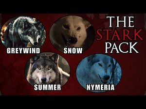 All Six Stark Direwolfs Explained In 14 Minutes