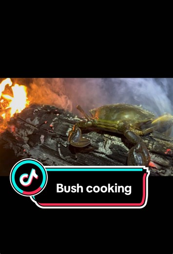 Bush Cooking in the Australian Outback: Mudcrab Delights