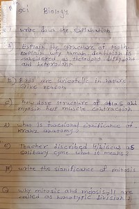 A) Explain the structure of a tooth. Explain why human dentitio... | Filo
