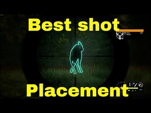 Best shot placement for moose | theHunter Call of the Wild
