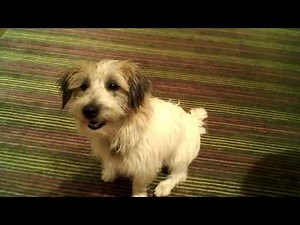 New Doc Martin co-star for Martin Clunes (Watch in HD)