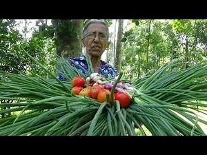 Village Food ❤ Spring Onion Stir Fry Recipe by Grandma