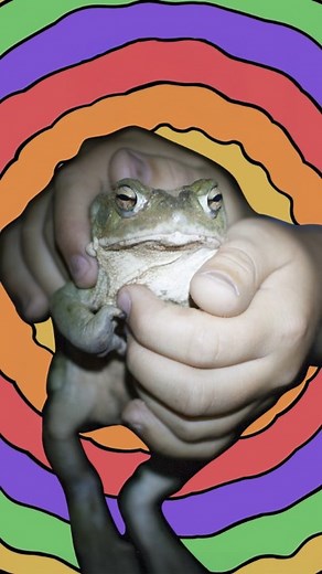 National Geographic | Have you ever heard of the term “psychofauna?” Similar to the giant sandworms in the movie "Dune," some of Earth's animals can also produce... | Instagram