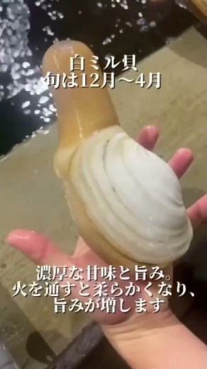 貝の種類と旬を紹介！