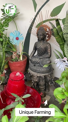 17K views · 203 reactions | Make Low Budget Fountain ️﫧in Terrace Garden 殺#fountain #diy #terracegarden #uniquefarming | Unique Farming | Facebook