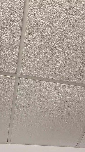 Ceiling Tile Makeover Success Story | Painting Tips
