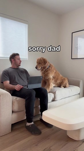 Dog Learns the Rewards of Playtime!