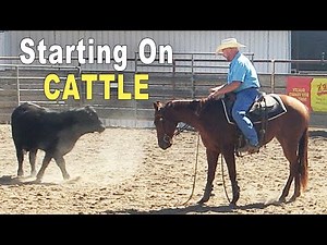 Horse Training - Starting On Cattle... Cutting - Reined Cow Horse - Ranch Versatility