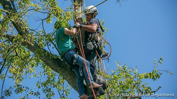Virginia Beach firefighters rescue man stuck in tree