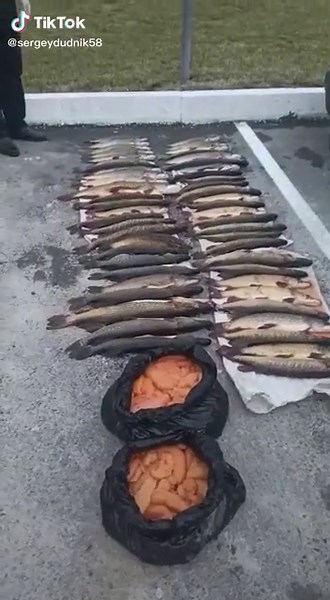 Сергей Дудник on TikTok