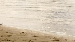 Girl Jeans Goes Water River Stock Footage Video (100% Royalty-free) 28783408 | Shutterstock