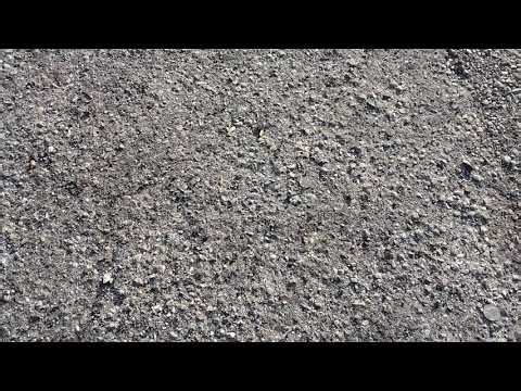 1st Coin Dump of 2026 42¢ Thank You Very Much