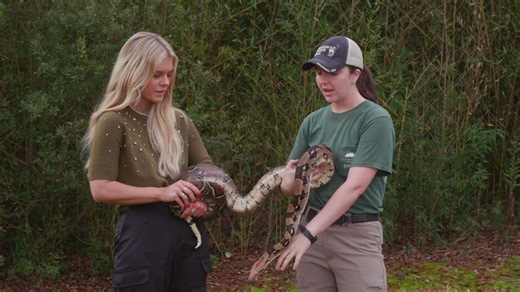 EXPLORING CALDWELL ZOO: Dudley the Boa shows how boa constrictors survive in the wild