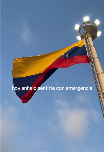 Hoy anhelo sentirte con emergencia: letra y significado