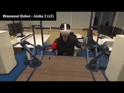 IRIS: An Immersive Robot Interaction System (CoRL 2025)