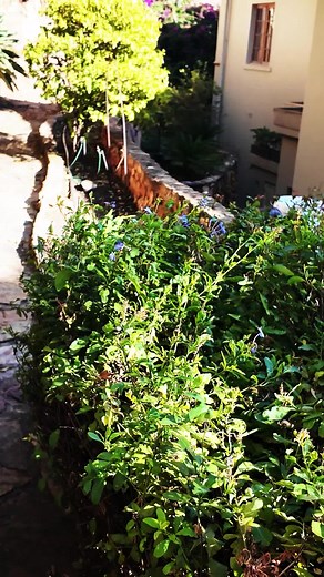 Report, all activity...#pestcontrol