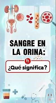 ¿Qué significa la presencia de sangre el la orina?