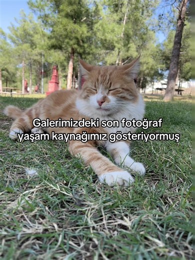 Buttercp_girl🪩🎀 (@buttercup_girls28) adlı kullanıcının original sound - yoyo ile oluşturduğu videoları