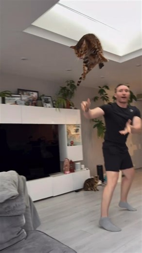 Super Fast Cat Finally Got A Friend ❤️